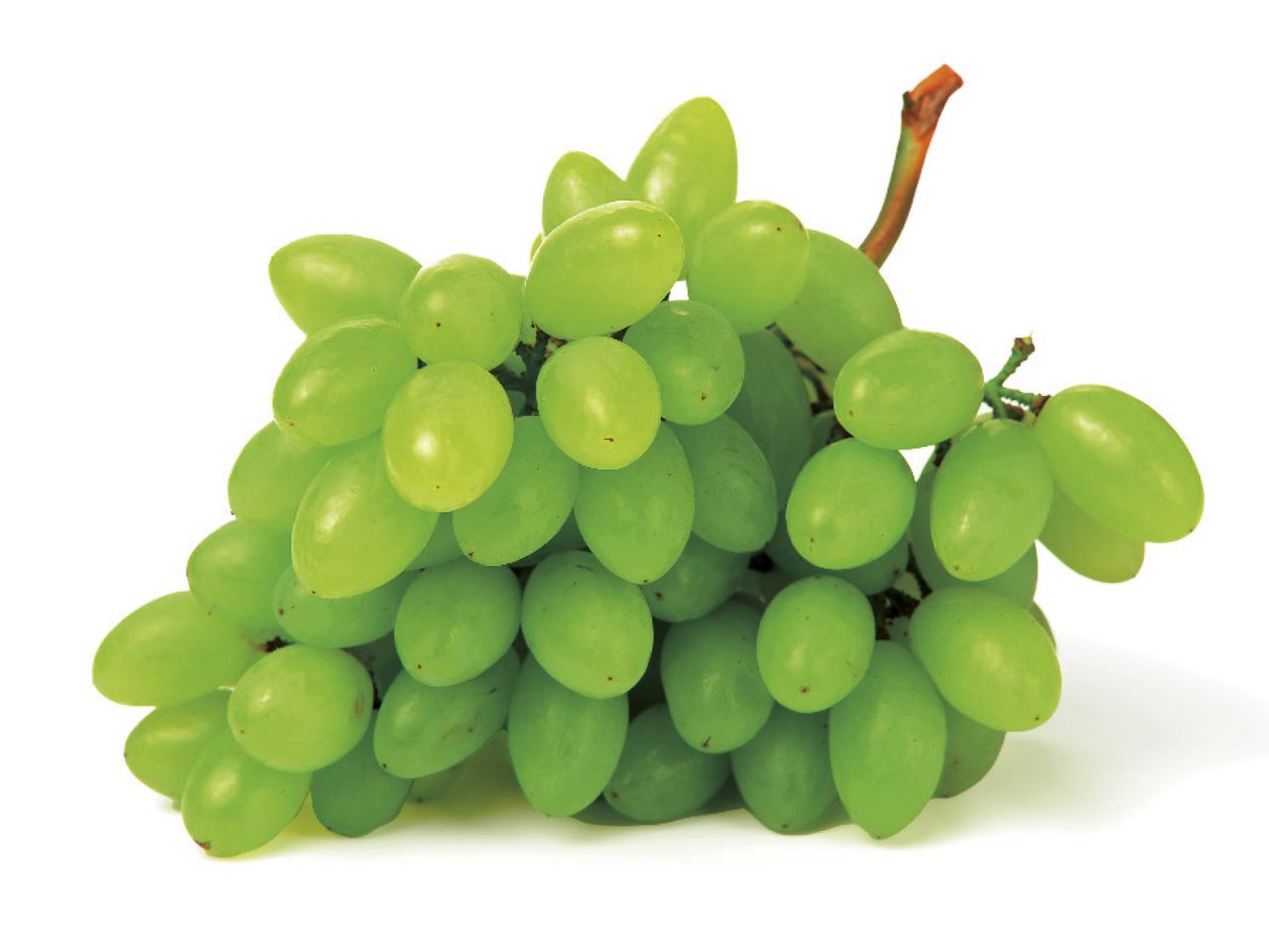 Go to full screen view: Oaklands White Seedless Grapes - Image 1