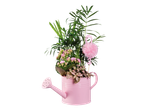 Ružičasta kanta za zalivanje sa biljkama i ružičastim flamingom.