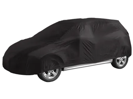 Automobilio dangalas