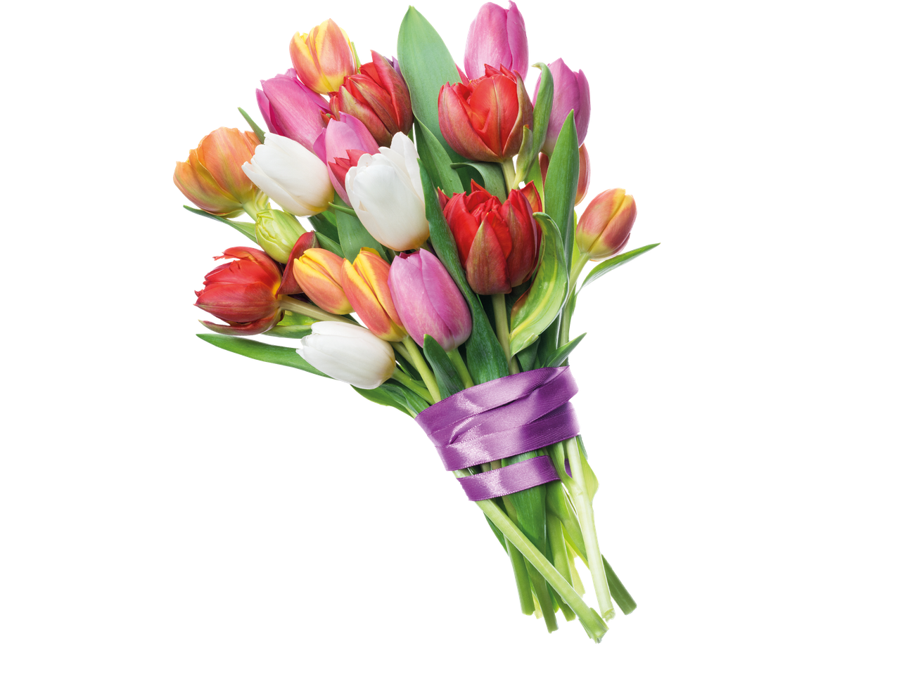 Färgstark bukett med tulpaner i olika färger, sammanbundna med ett lila band.