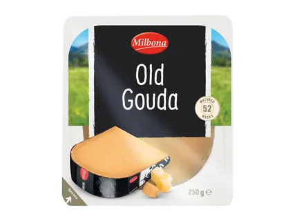 Old gouda sajt