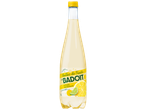 Bouteille de boisson gazeuse au citron avec des tranches de citron et de lime.