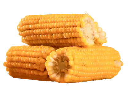 Virtos kukurūzų burbuolės