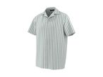 Men's short-sleeved striped shirt in light green and white.