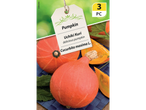 Pumpkin seeds for Uchiki Kuri, a delicious pumpkin, with 3 pieces per pack.
