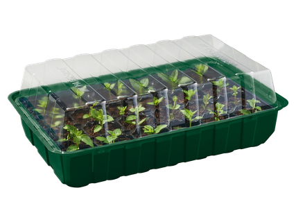 Palántázókészlet