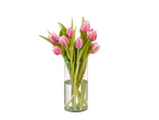 Tulipas rosas em um vaso de vidro.