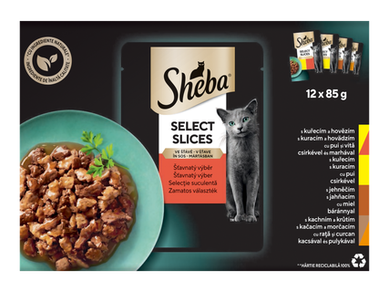 Pliculețe de hrană umedă pentru pisici, cu bucăți de carne în sos, cu diverse arome, 12 x 85 g.
