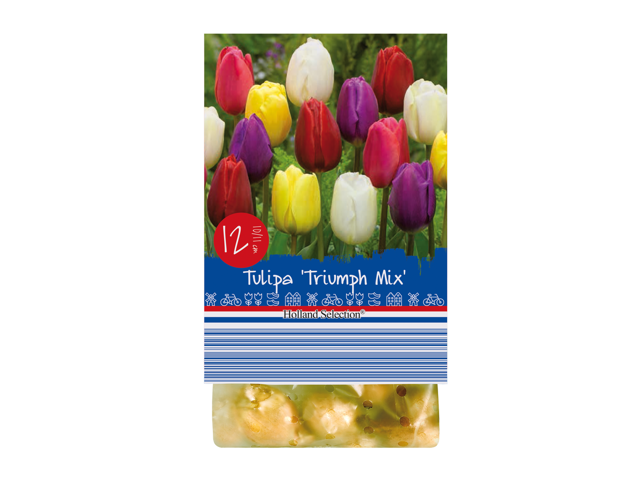 Go to full screen view: Spring Flowering Bulbs - Image 2