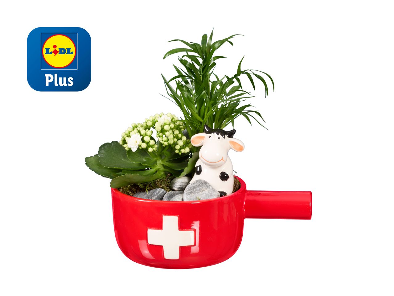 Plante en pot rouge avec une vache décorative, marque Lidl Plus.
