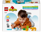 Children's toy box, featuring a boy playing with animal figures and building bricks.