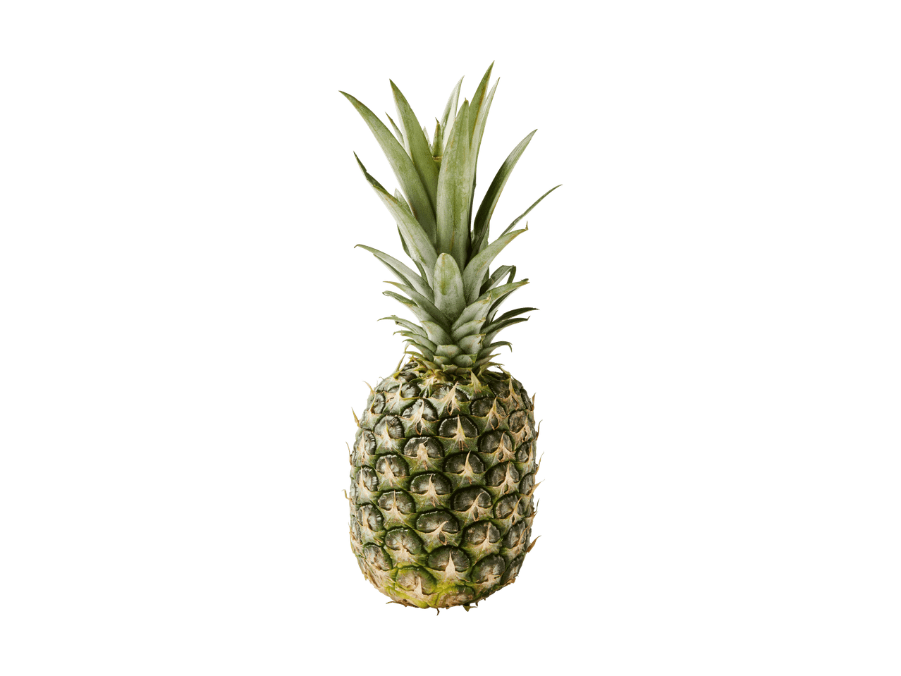 Eine ganze Ananas mit grünen Blättern, aufrecht stehend vor weißem Hintergrund.