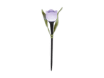Solar-Gartenleuchte in Form einer lila Tulpe mit grünen Blättern