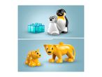 Two penguins and a transparent blue block, and two lions, one large and one small.