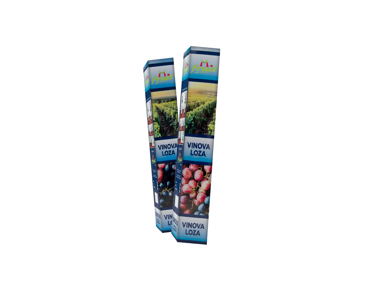 Dve kutije za sadnice vinove loze sa slikama vinograda i grožđa.