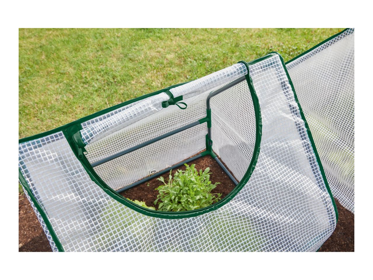 Go to full screen view: Parkside Cold Frame - 2 pack - Image 4