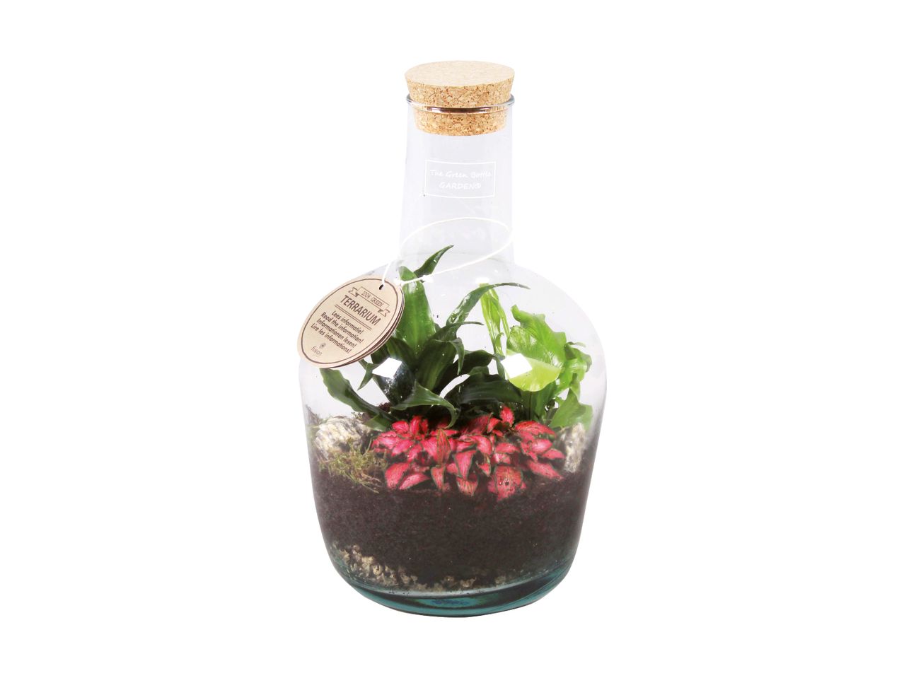 En terrariumflaske med grønne og røde planter, jord og en korkprop.
