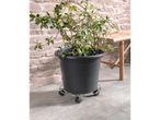 Suport pentru ghiveci Parkside® cu roți, susținând un ghiveci mare cu plante.