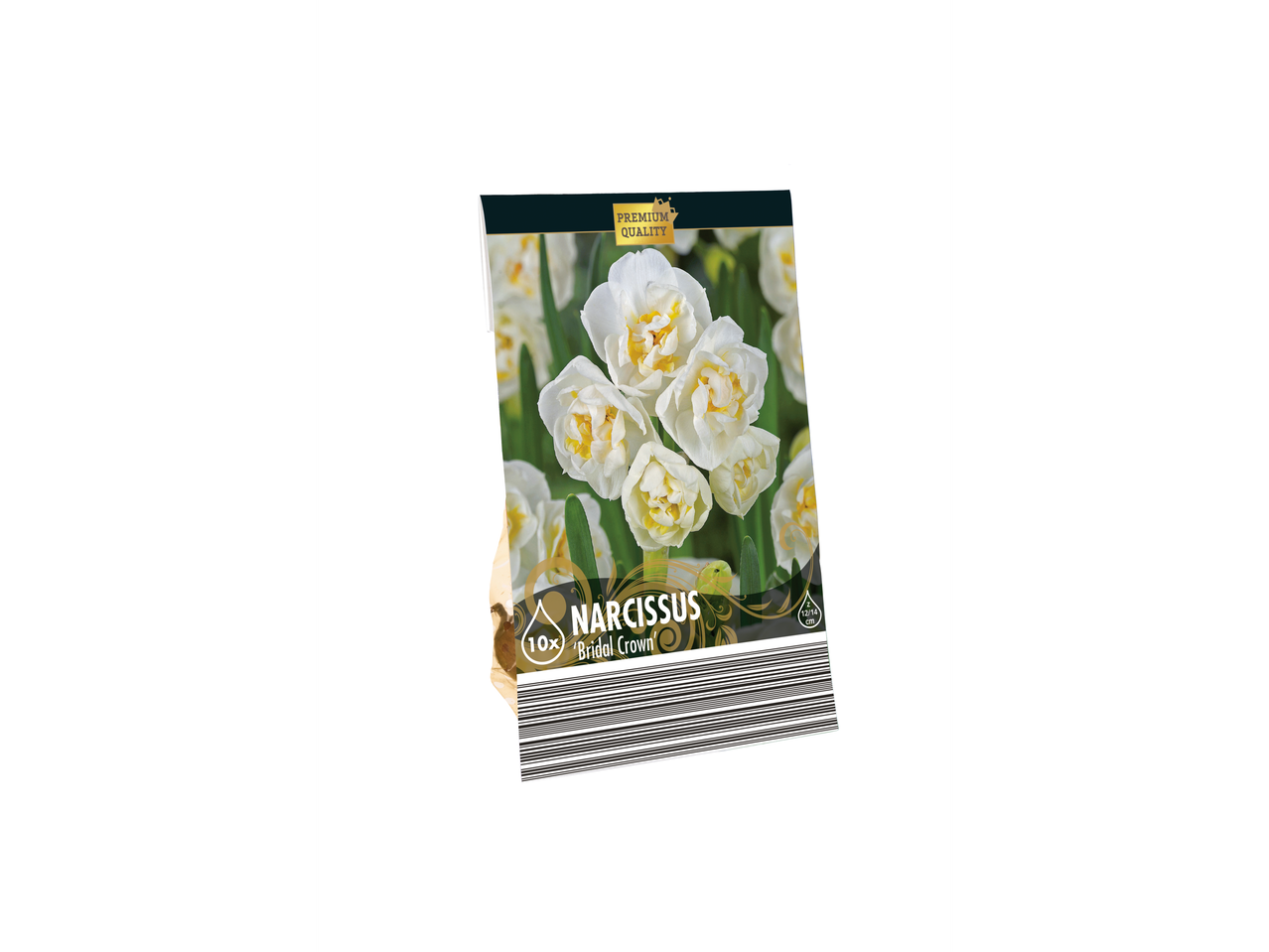 Narcissus 'Bridal Crown': 10 white daffodil bulbs.