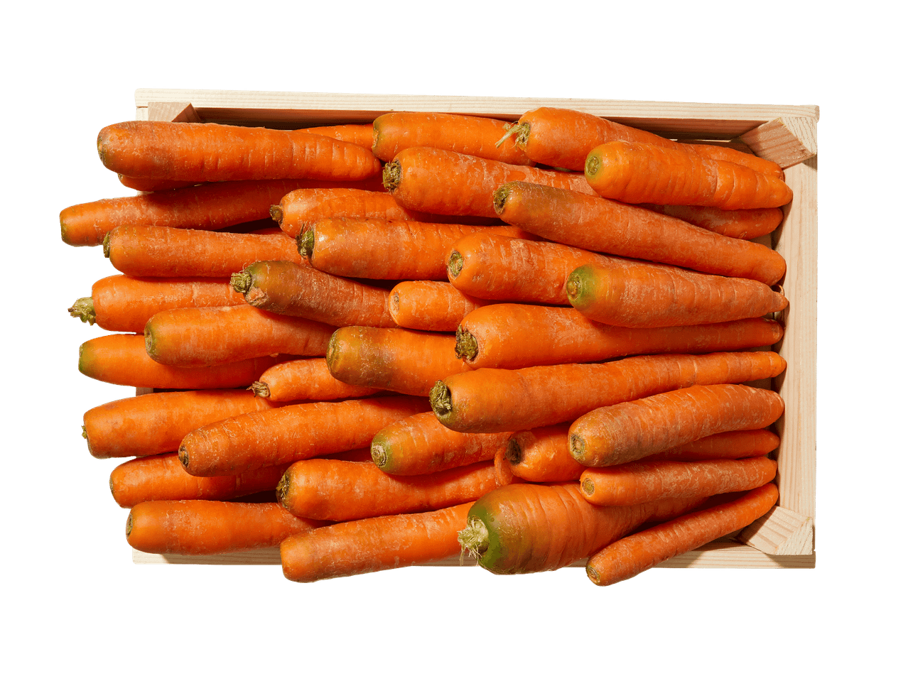 Frische, orangefarbene Karotten in einer Holzkiste.