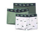 Drei Boxershorts für Kinder, zwei grüne und eine weiße mit Dinosaurier-Motiven.