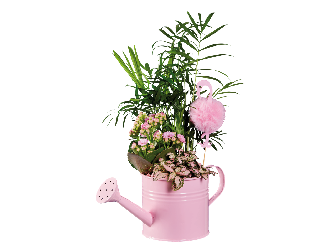 Ružičasta kanta za zalivanje sa biljkama i ružičastim flamingom.