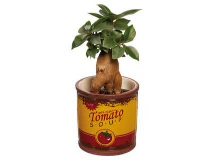 Zöldnövények kerámiában*