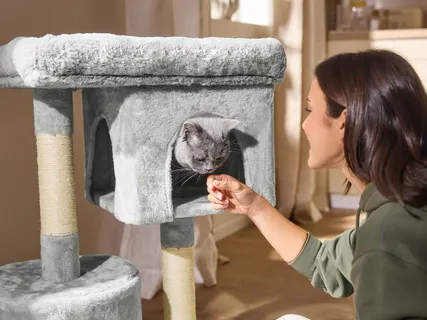 MAX & MILA’S WORLD Катерушка за котка