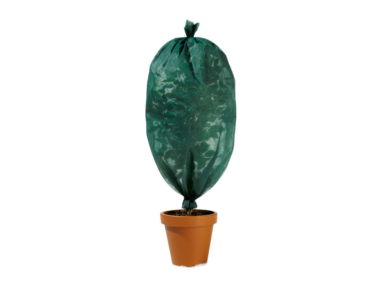 Green plant fleece cover on a potted plant