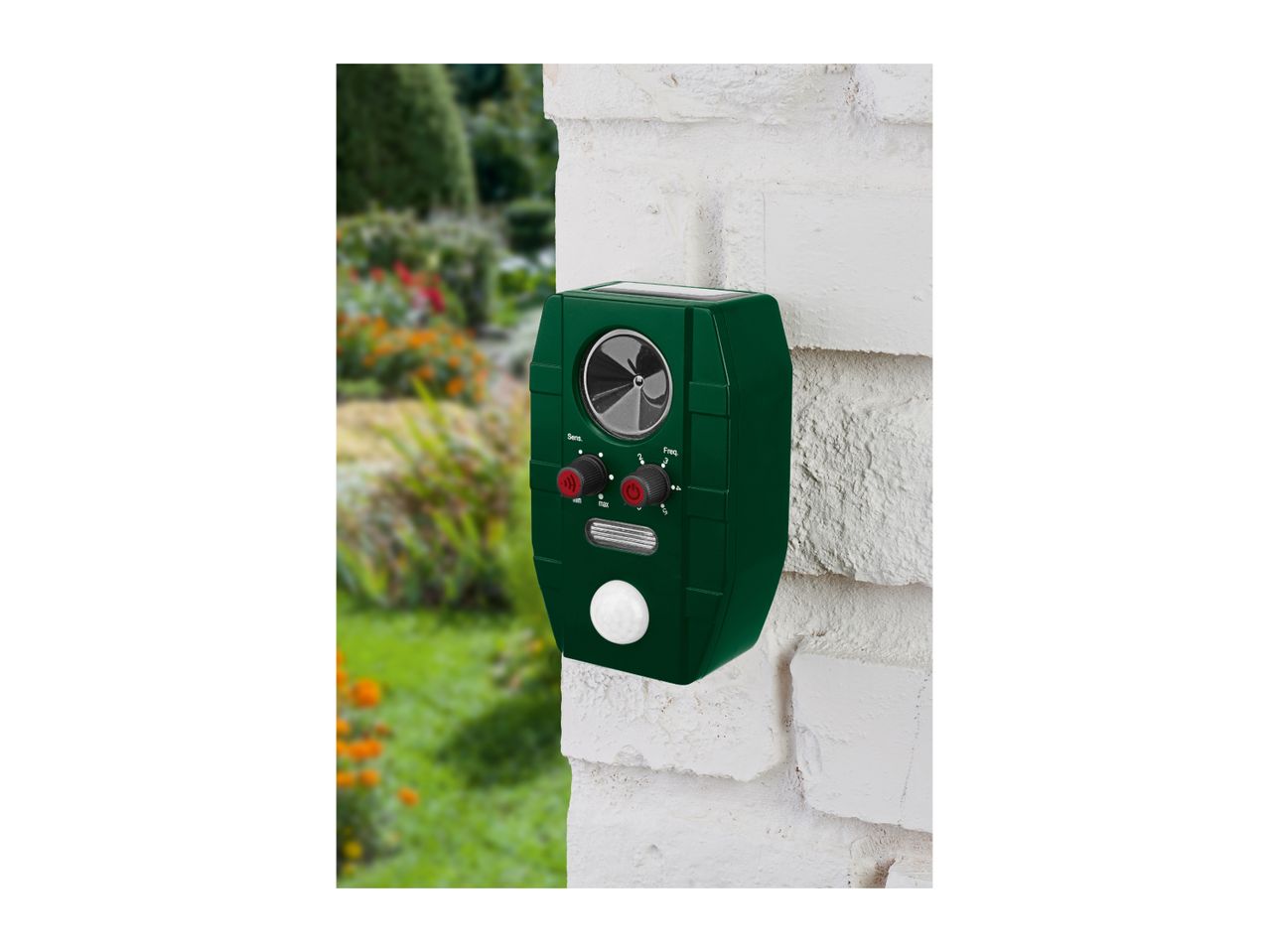Green ultrasonic animal repeller with solar panel mounted on a white brick wall in a garden.