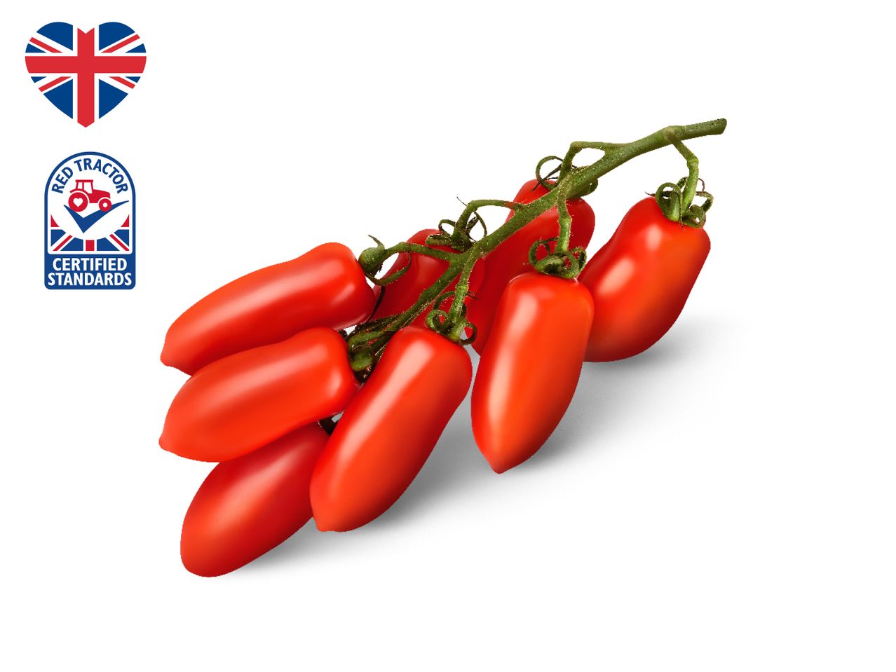 A bunch of Red Tractor certified standard British tomatoes on the vine.