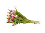 Buquê de tulipas rosas.