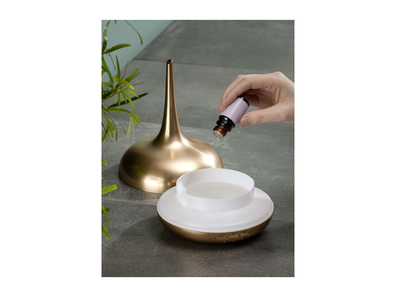 Adding essential oil to a gold-colored aroma diffuser filled with water.