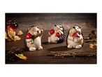 Three hedgehog figurines with autumn decorations on a wooden surface.