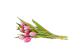 Um ramo de tulipas rosas.