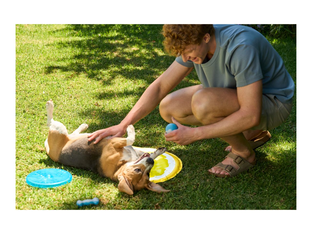 Man playing with a dog on the grass, with a blue frisbee and a yellow dog mat.