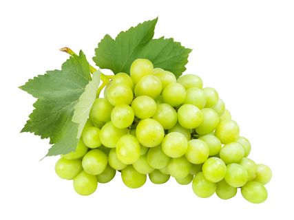 Mag nélküli fehér szőlő