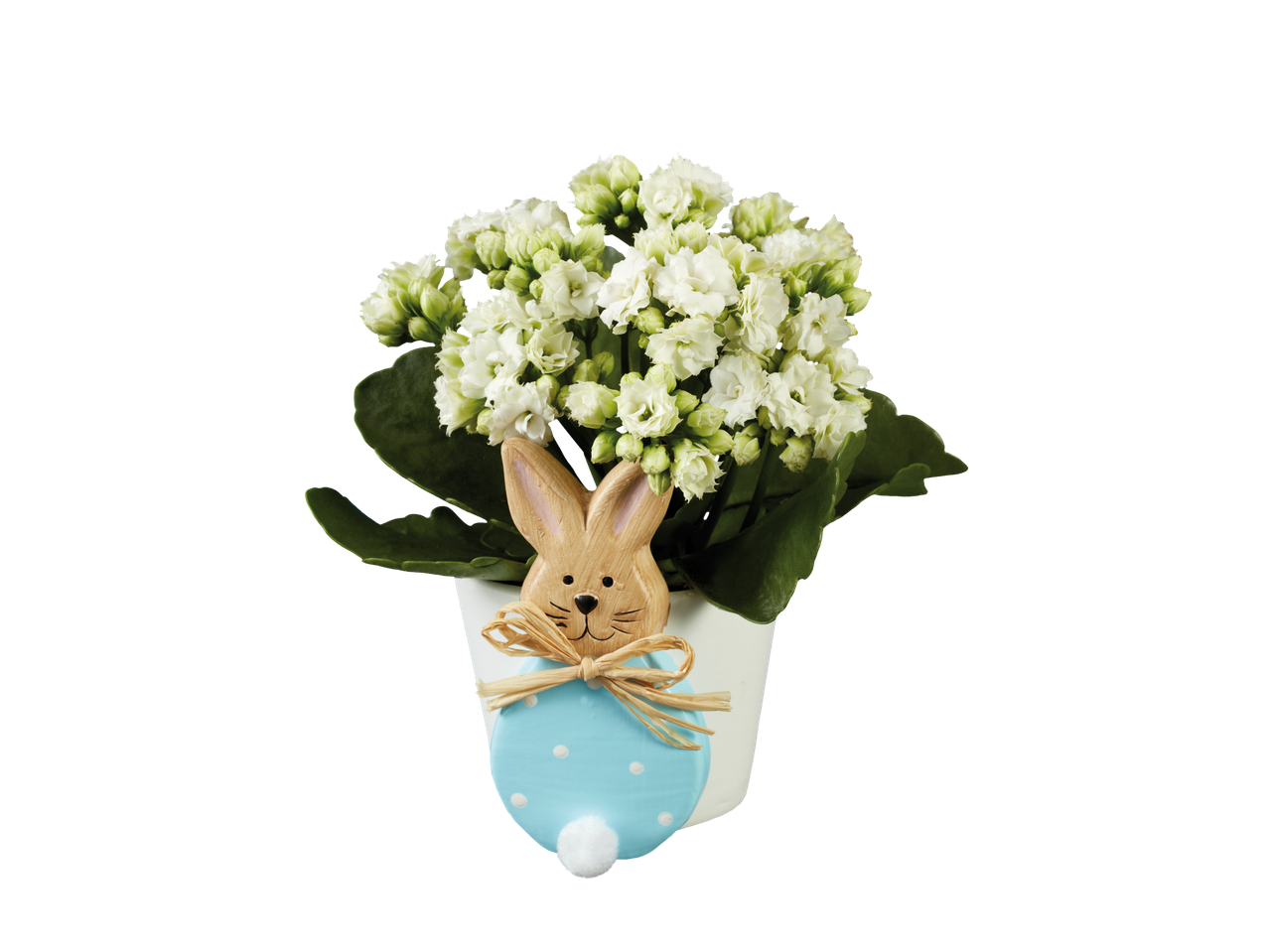 Ghveci cu flori albe și decor de iepuraș de Paște.