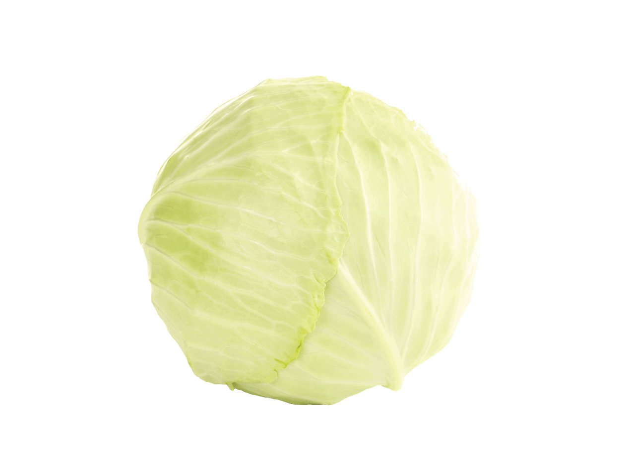 Šviežias baltagūžis kopūstas juodame fone