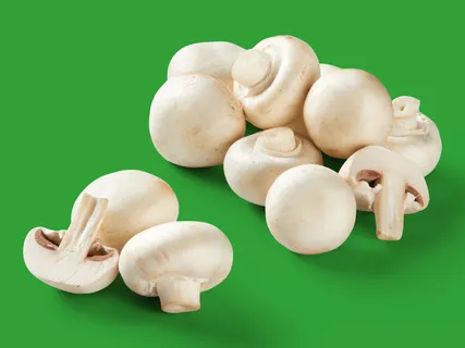 Weiße Kulturchampignons