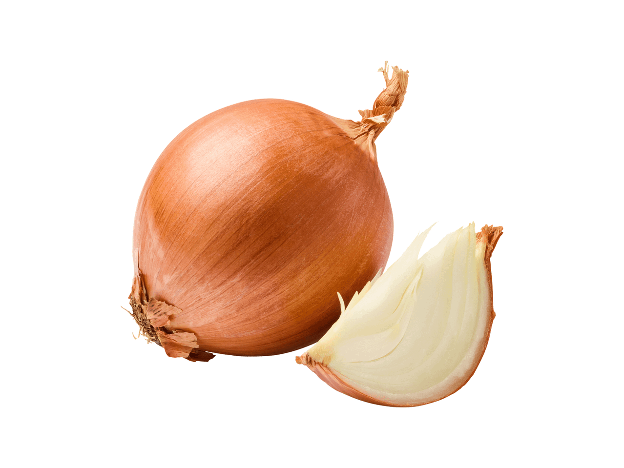 Cebola inteira e um gomo de cebola com casca castanha e interior branco.