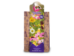 Seed mix for a bee-friendly flower meadow, covering 15m², with a growth height of 40-90 cm.