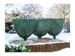 Three small garden trees covered with green winter protection fleece in a snowy garden.