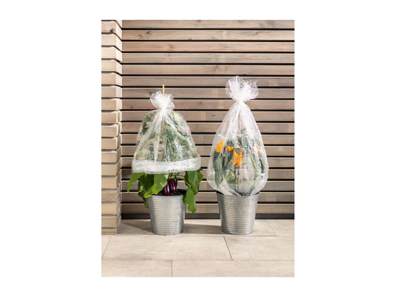 Go to full screen view: Parkside Plant Protection Shrub Film Cover - 5 pack - Image 1