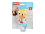 Fisher-Price Teething Time Otter, a yellow otter-shaped teether with a blue dolphin.