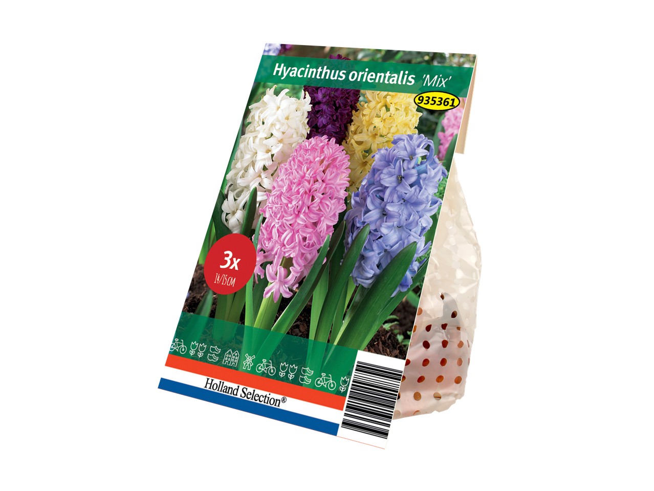 Hyacinthenbollen 'Mix' in een verpakking van Holland Selection