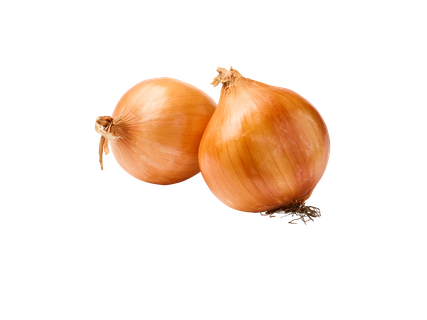 Bio vöröshagyma