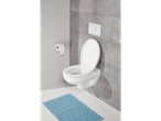 Wall-hung toilet, bathroom rug, and toilet paper.