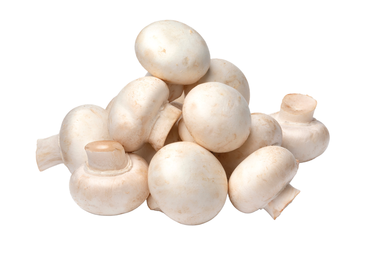 Gomila svežih belih šampinjona na crnoj pozadini.