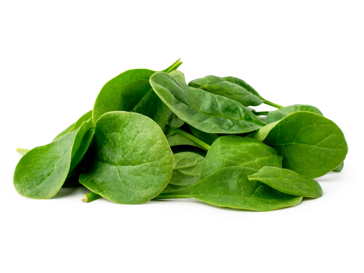 A handful of fresh spinach leaves.